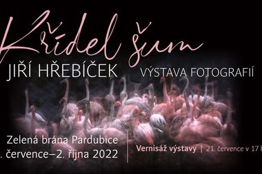 Výstava: KŘÍDEL ŠUM – fotografie Jiří Hřebíček
