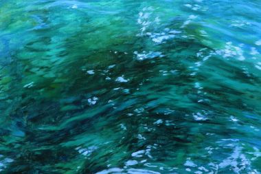 Výstava: S plynutím - obrazy Ivany Bachové